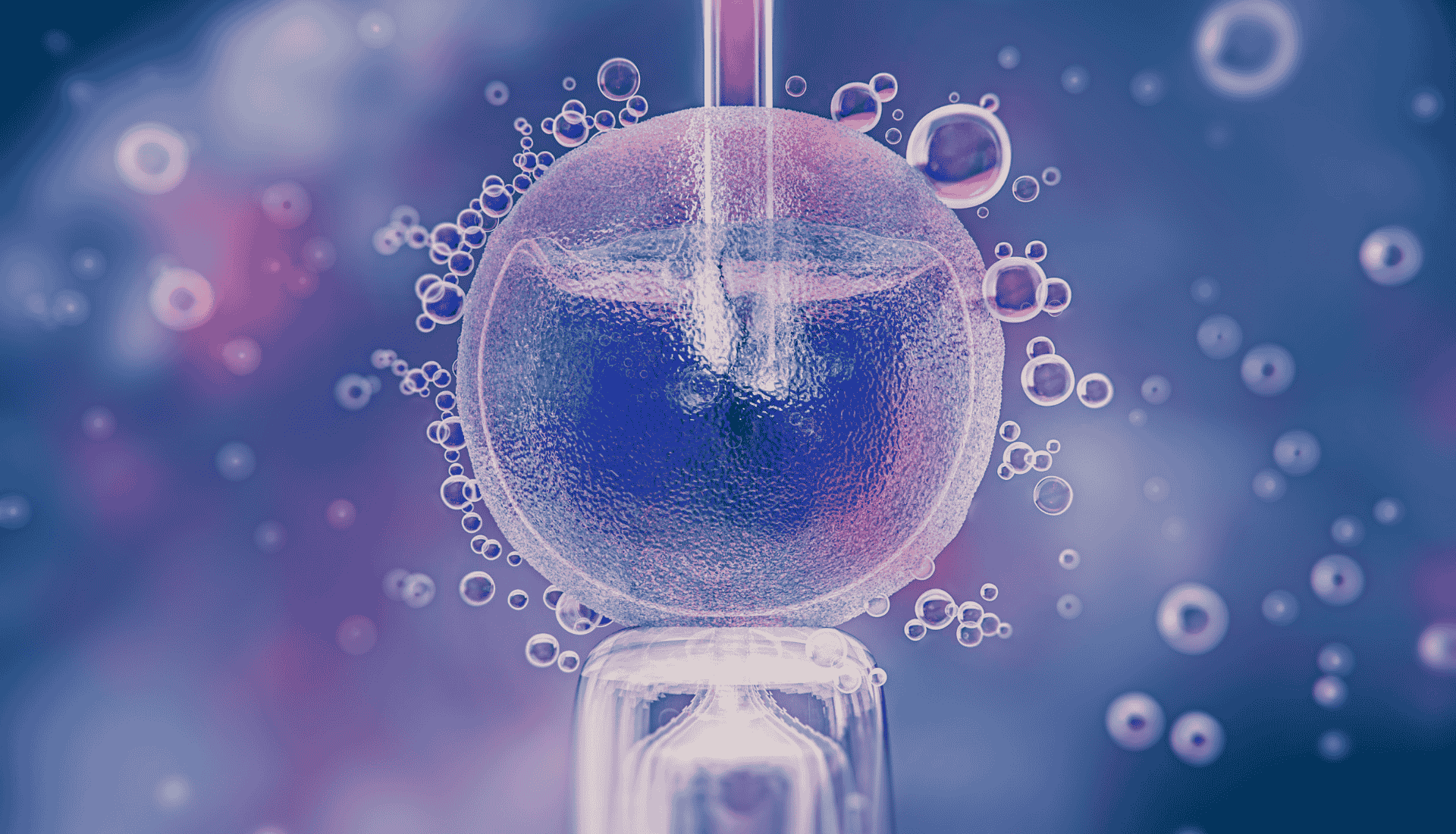 Top 10 Features Every IVF Fertility Software Should Have in 2025